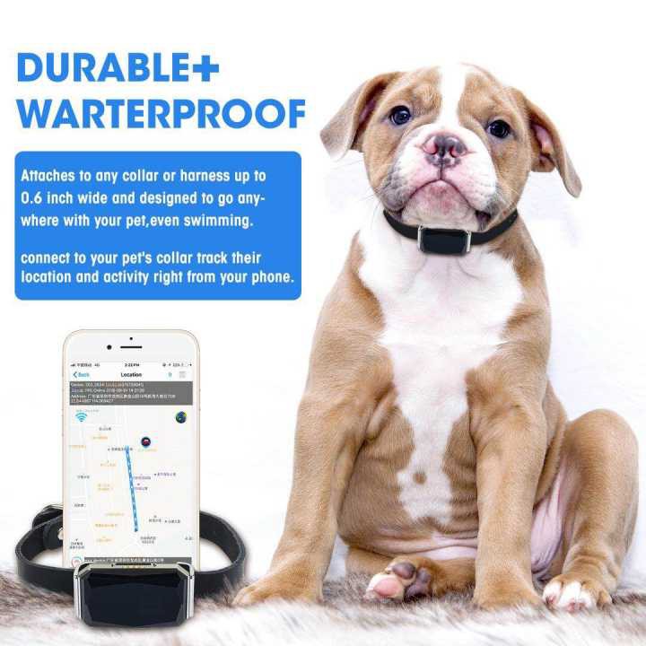 Pet GPS Tracker